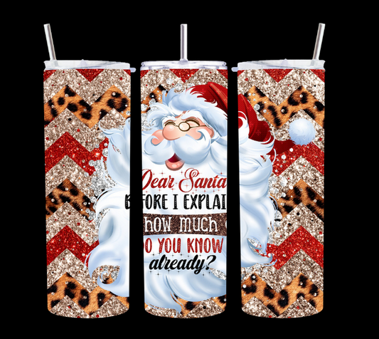 Dear Santa I can explain - Tumbler