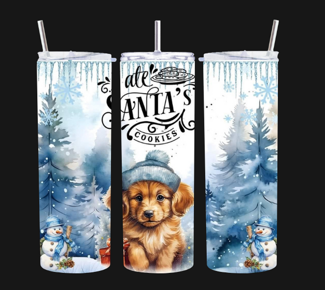 Christams I ate santa's cookies - Tumbler